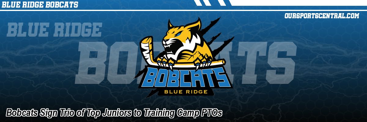 Bobcats Sign Trio of Top Juniors to Training Camp PTOs