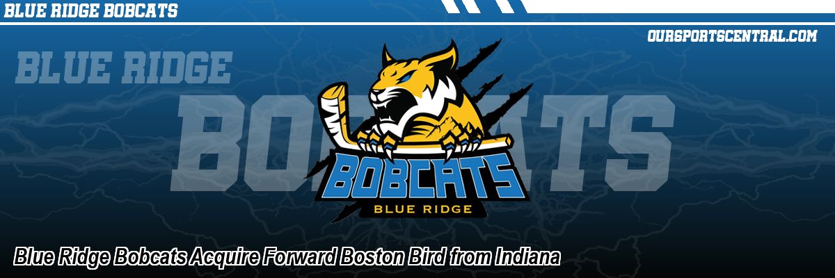 Blue Ridge Bobcats Acquire Forward Boston Bird from Indiana