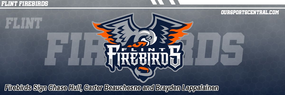 Firebirds Sign Chase Hull, Carter Beauchesne and Brayden Lappalainen