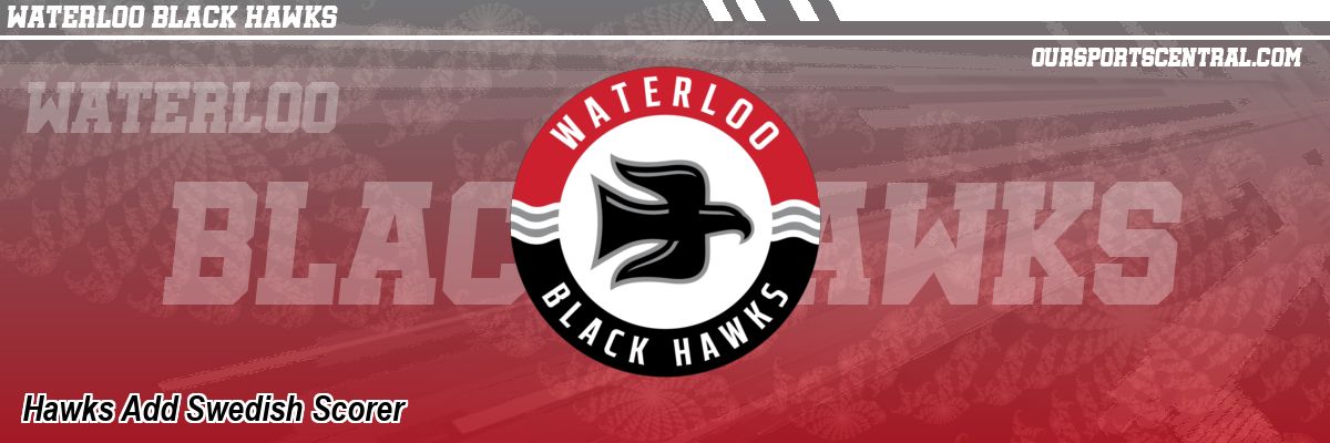 Hawks Add Swedish Scorer