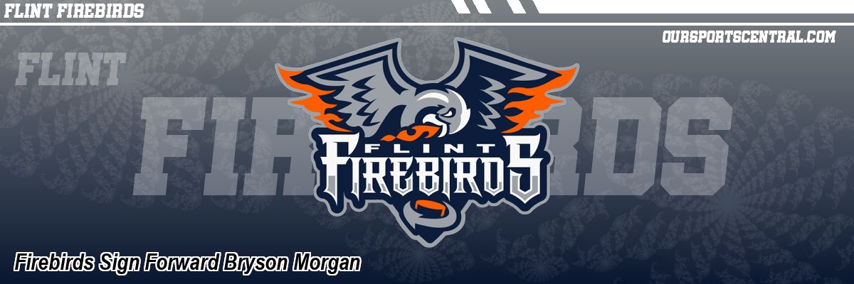 Firebirds Sign Forward Bryson Morgan