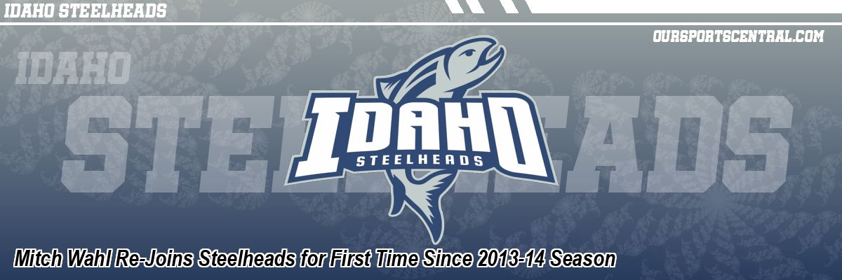 Mitch Wahl Re-Joins Steelheads for First Time Since 2013-14 Season