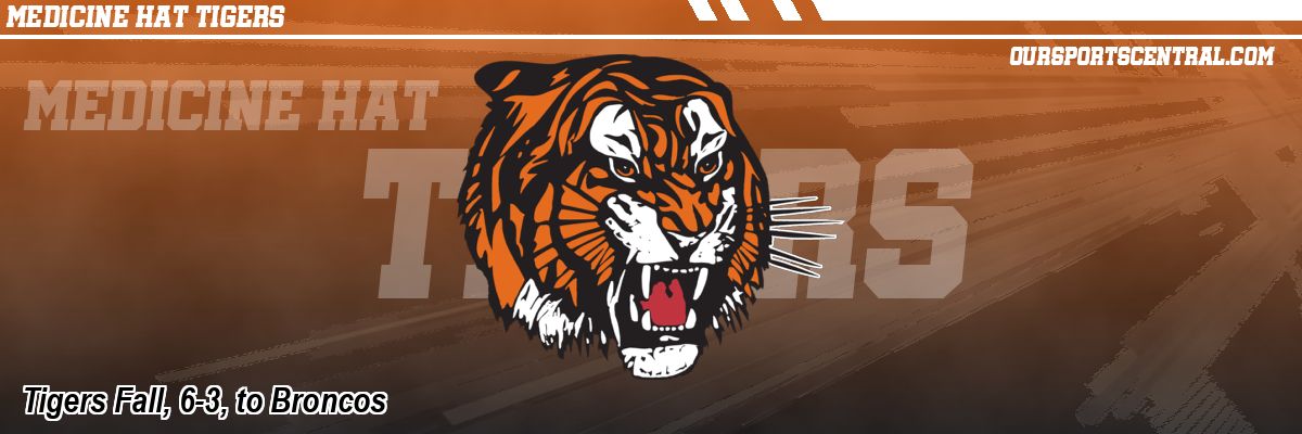 Tigers Fall, 6-3, to Broncos