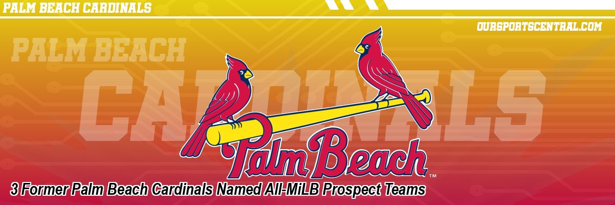 3 Former Palm Beach Cardinals Named All-MiLB Prospect Teams