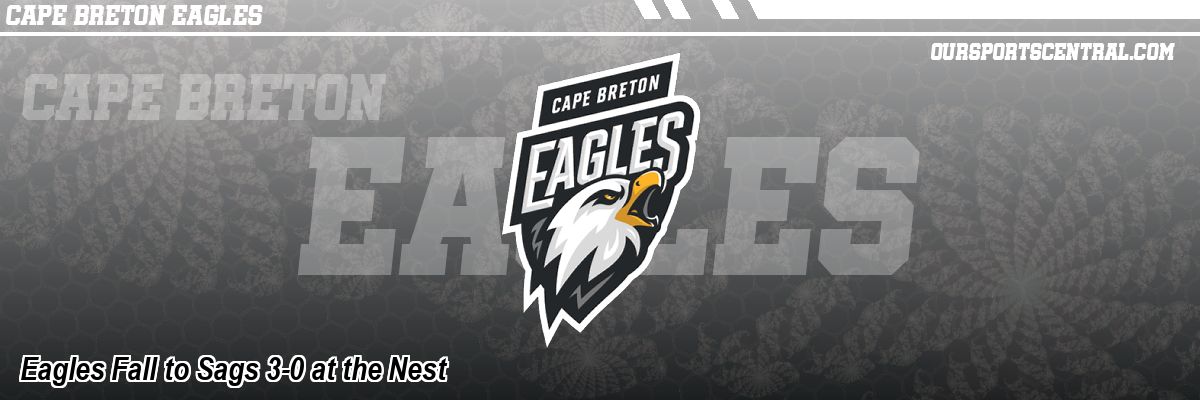 Eagles Fall to Sags 3-0 at the Nest