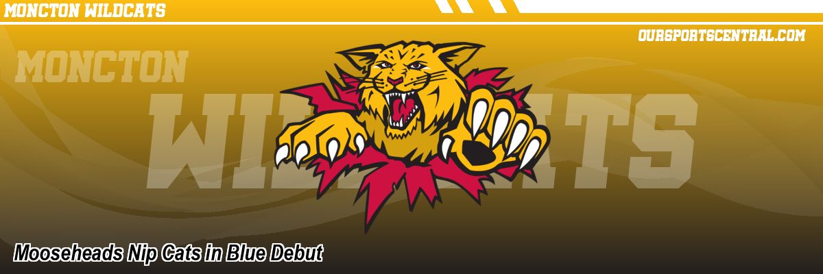 Mooseheads Nip Cats in Blue Debut