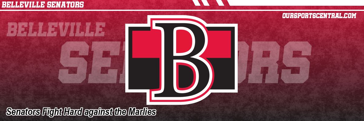 Senators Fight Hard against the Marlies