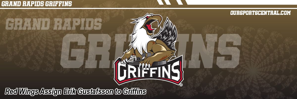 Red Wings Assign Erik Gustafsson to Griffins