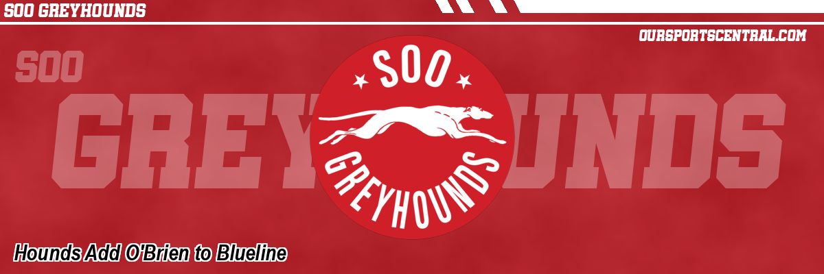 Hounds Add O'Brien to Blueline