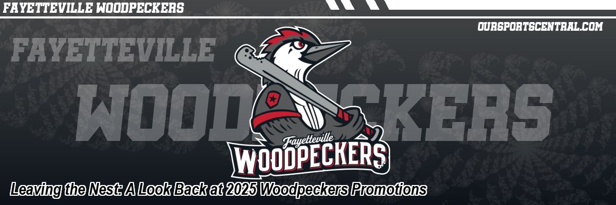 Leaving the Nest: A Look Back at 2025 Woodpeckers Promotions
