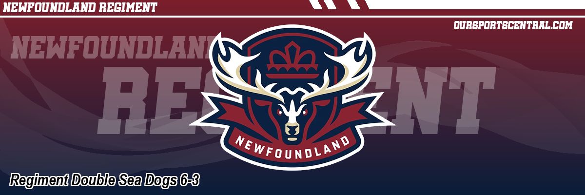 Regiment Double Sea Dogs 6-3