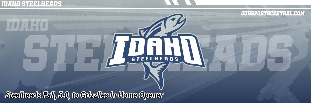 Steelheads Fall, 5-0, to Grizzlies in Home Opener