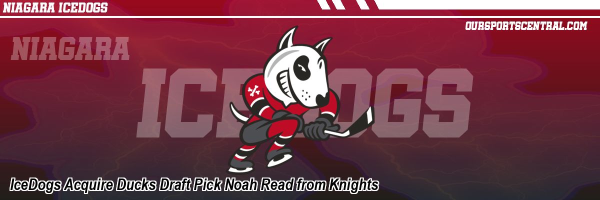 IceDogs Acquire Ducks Draft Pick Noah Read from Knights