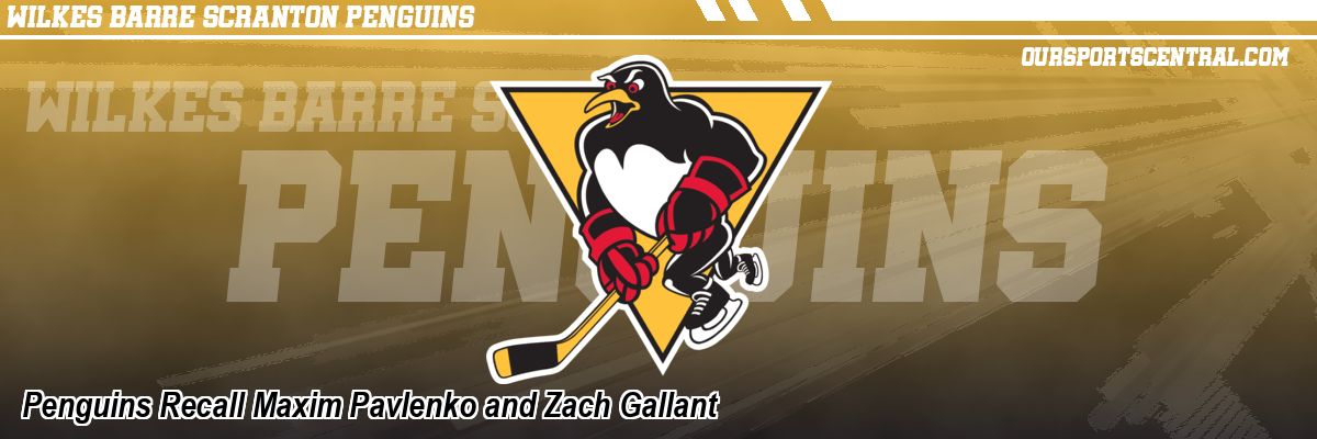 Penguins Recall Maxim Pavlenko and Zach Gallant