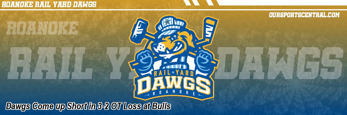 Dawgs Come up Short in 3-2 OT Loss at Bulls