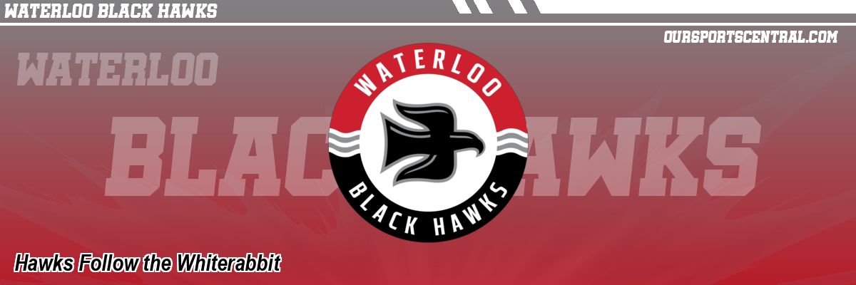 Hawks Follow the Whiterabbit