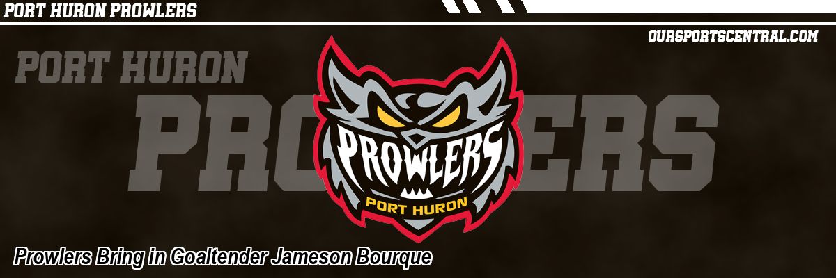 Prowlers Bring in Goaltender Jameson Bourque