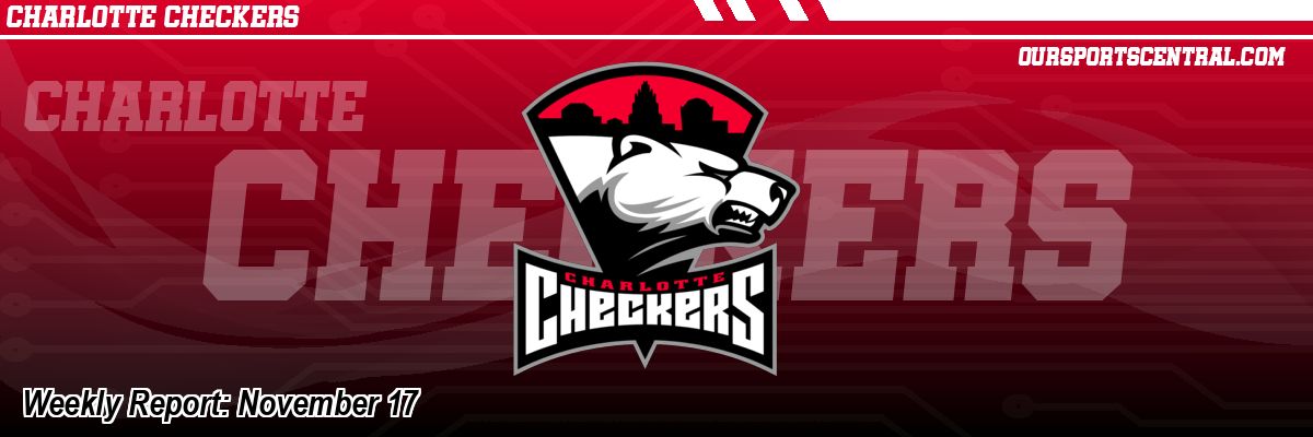 Weekly Report: November 17