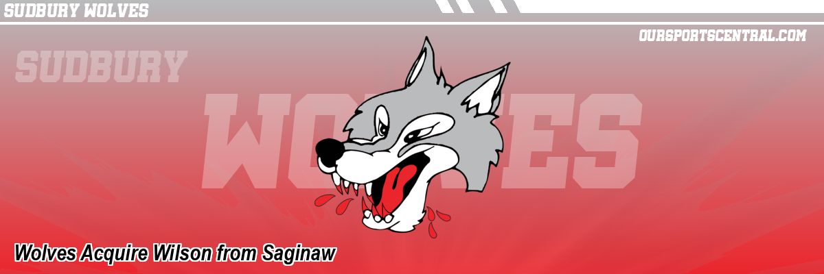 Wolves Acquire Wilson from Saginaw