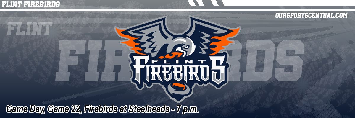 Game Day, Game 22, Firebirds at Steelheads - 7 p.m.