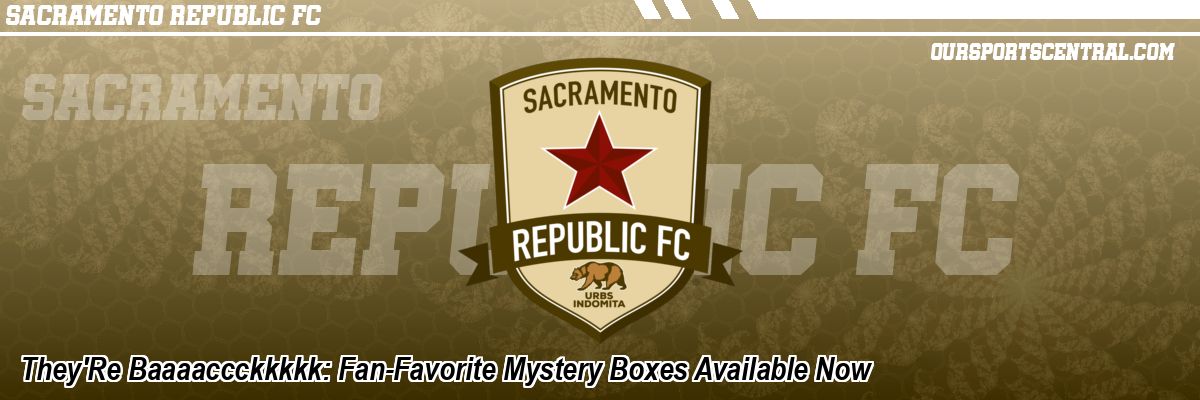 They'Re Baaaaccckkkkk: Fan-Favorite Mystery Boxes Available Now