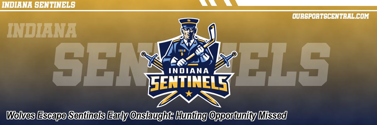 Wolves Escape Sentinels Early Onslaught: Hunting Opportunity Missed