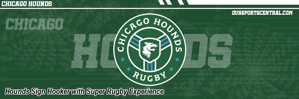 Hounds Sign Hooker with Super Rugby Experience