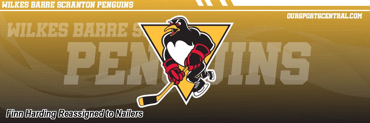 Finn Harding Reassigned to Nailers