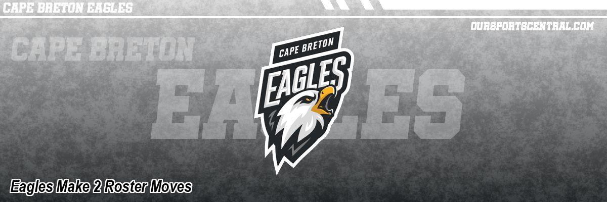 Eagles Make 2 Roster Moves