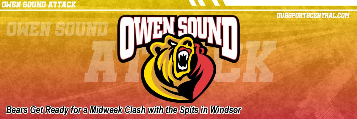 Bears Get Ready for a Midweek Clash with the Spits in Windsor