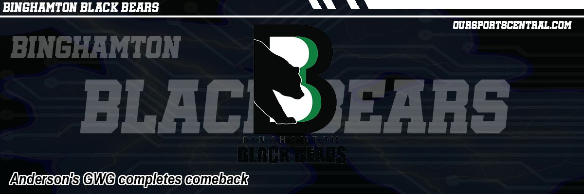 Anderson's GWG completes comeback