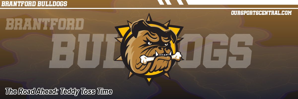 The Road Ahead: Teddy Toss Time