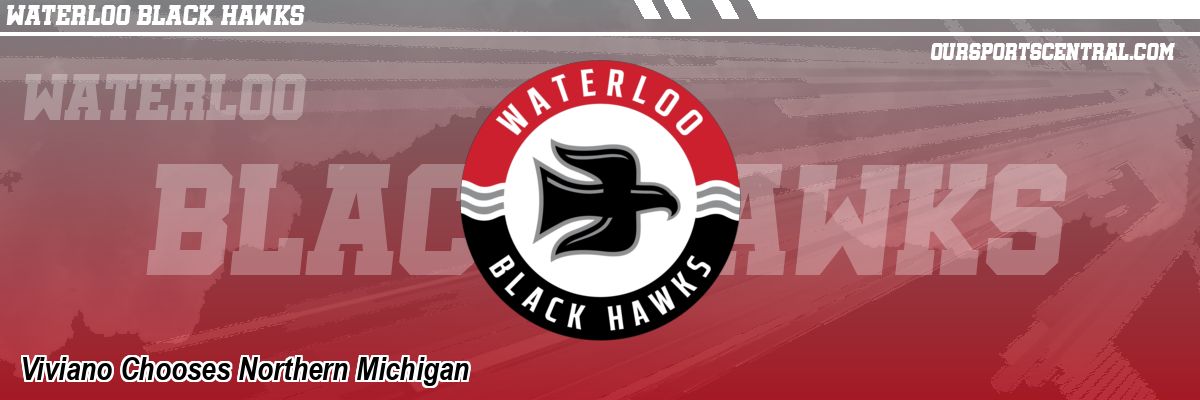 Viviano Chooses Northern Michigan