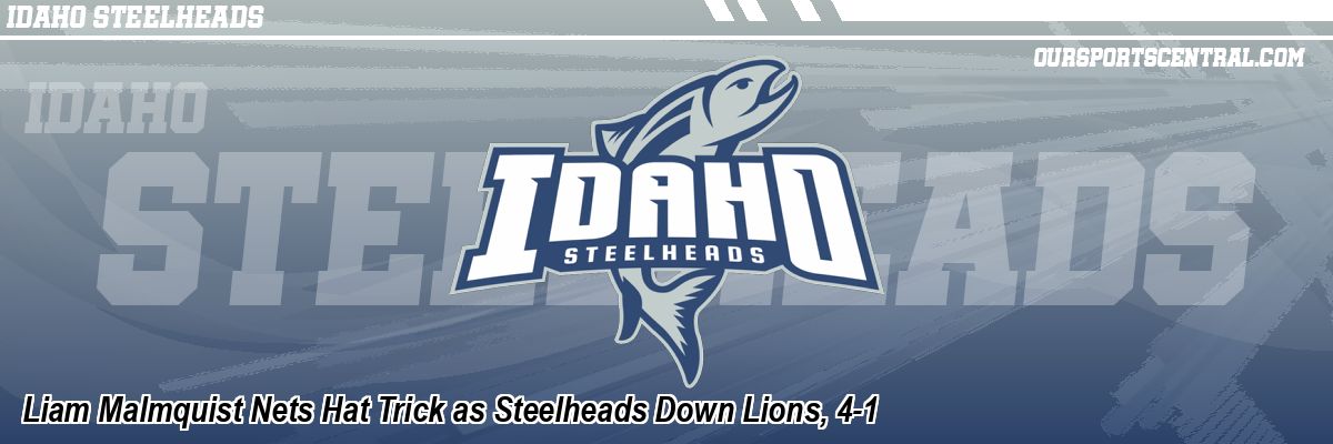 Liam Malmquist Nets Hat Trick as Steelheads Down Lions, 4-1