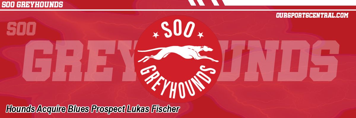 Hounds Acquire Blues Prospect Lukas Fischer