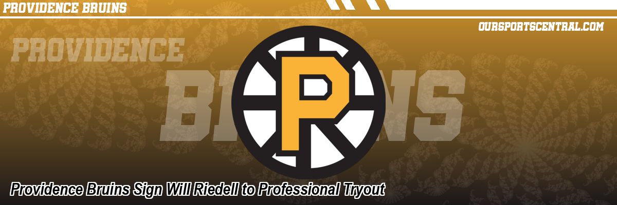 Providence Bruins Sign Will Riedell to Professional Tryout