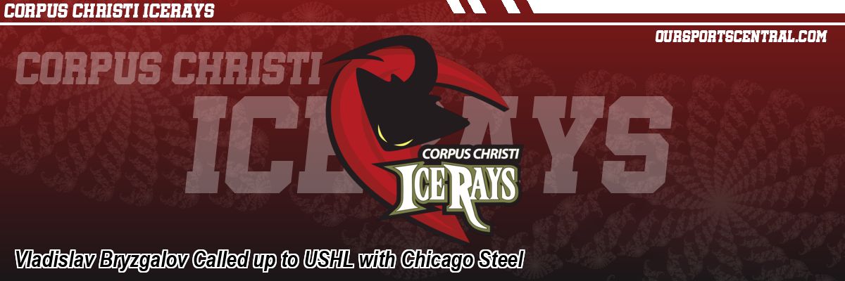 Vladislav Bryzgalov Called up to USHL with Chicago Steel