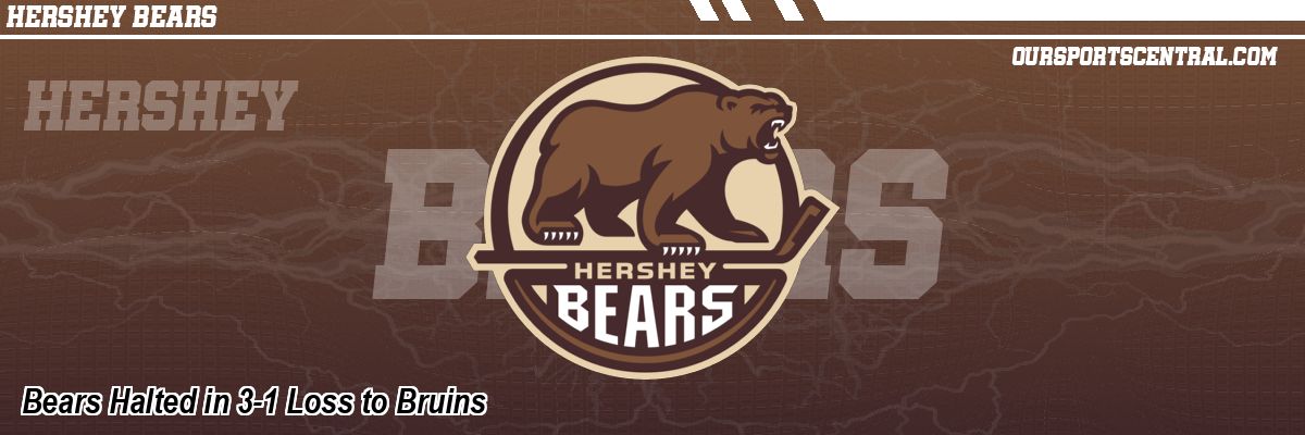 Bears Halted in 3-1 Loss to Bruins