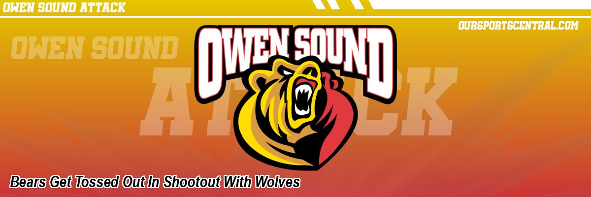 Bears Get Tossed Out In Shootout With Wolves