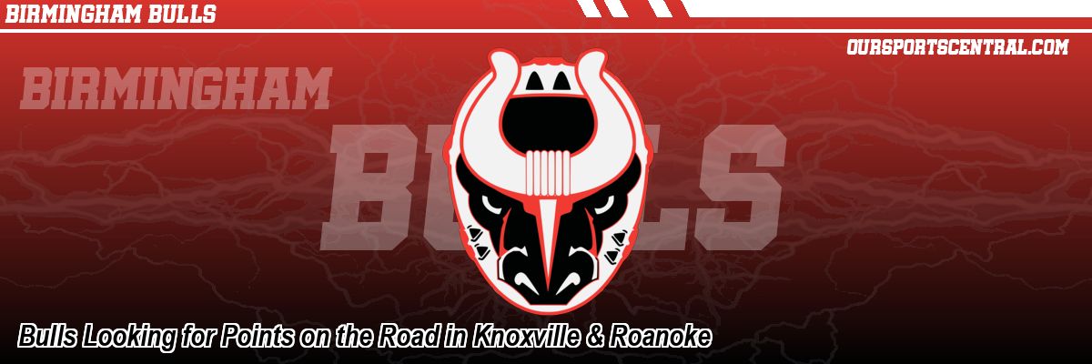 Bulls Looking for Points on the Road in Knoxville & Roanoke