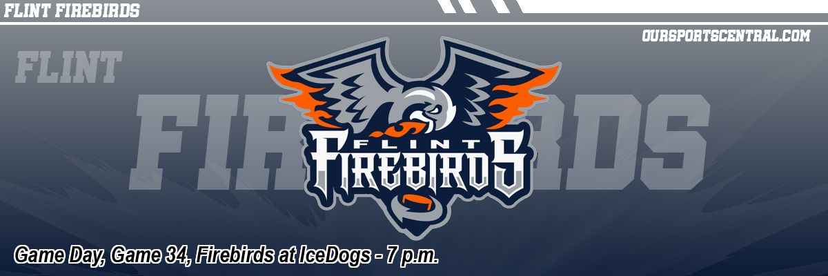 Game Day, Game 34, Firebirds at IceDogs - 7 p.m.