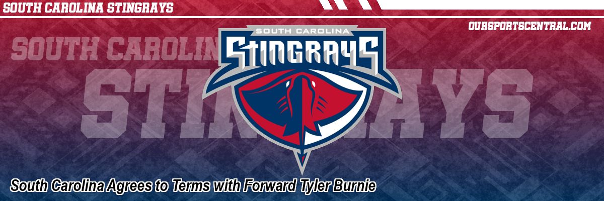 South Carolina Agrees to Terms with Forward Tyler Burnie