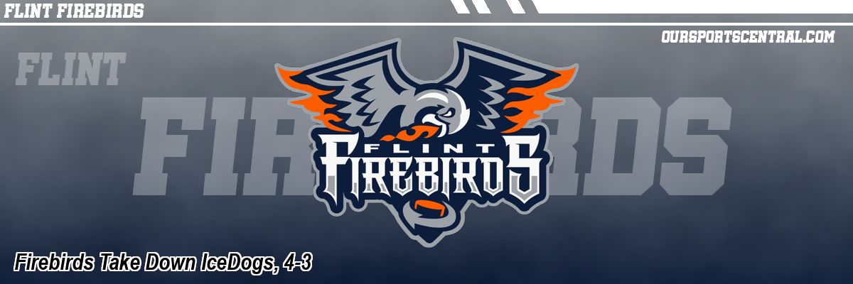 Firebirds Take Down IceDogs, 4-3