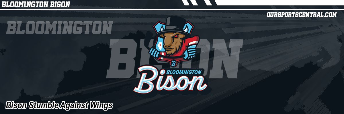 Bison Stumble Against Wings