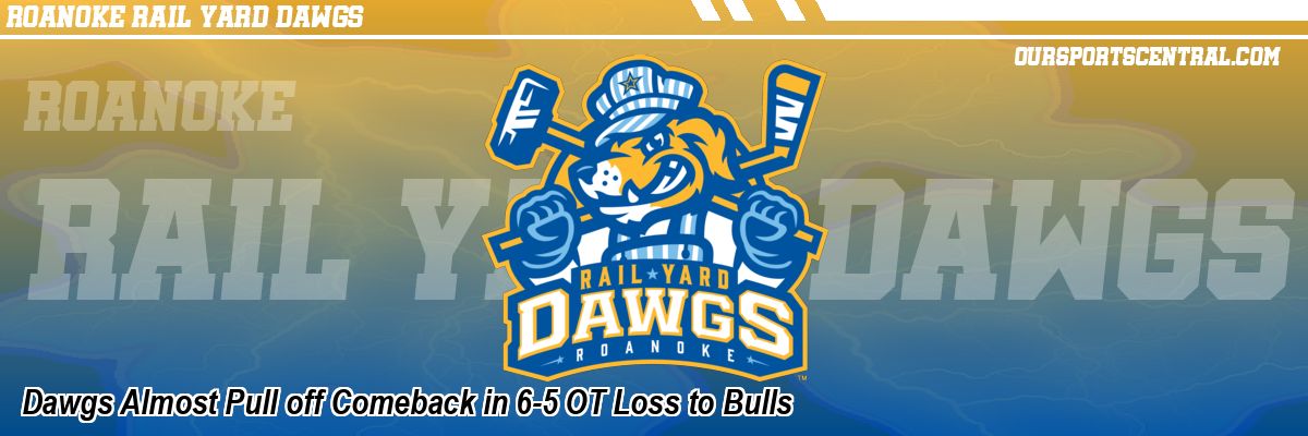 Dawgs Almost Pull off Comeback in 6-5 OT Loss to Bulls