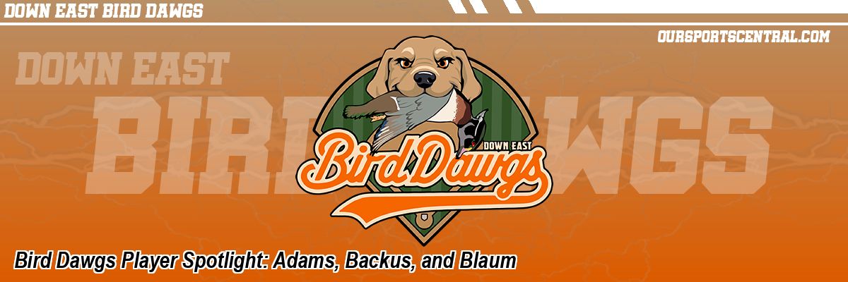 Bird Dawgs Player Spotlight: Adams, Backus, and Blaum