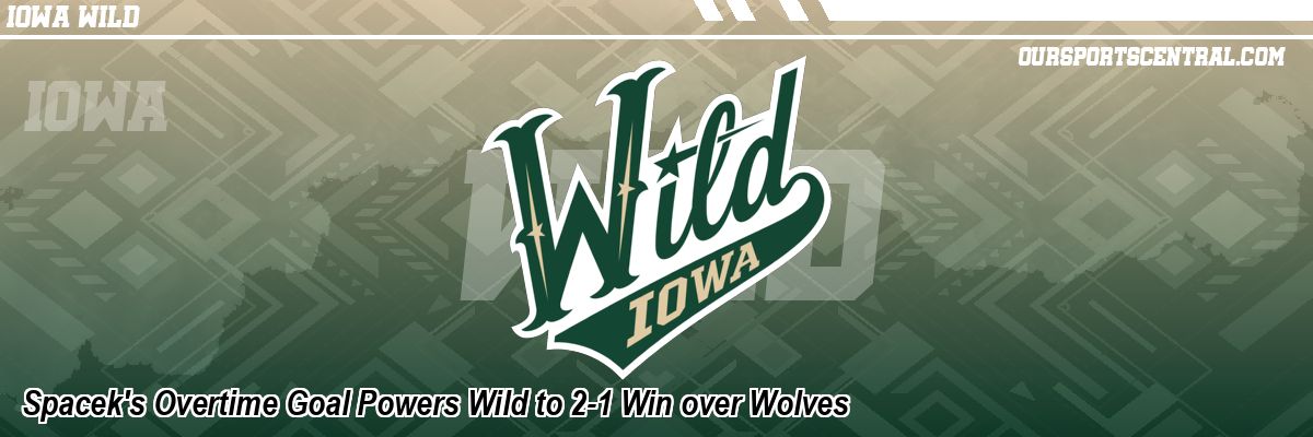 Spacek's Overtime Goal Powers Wild to 2-1 Win over Wolves
