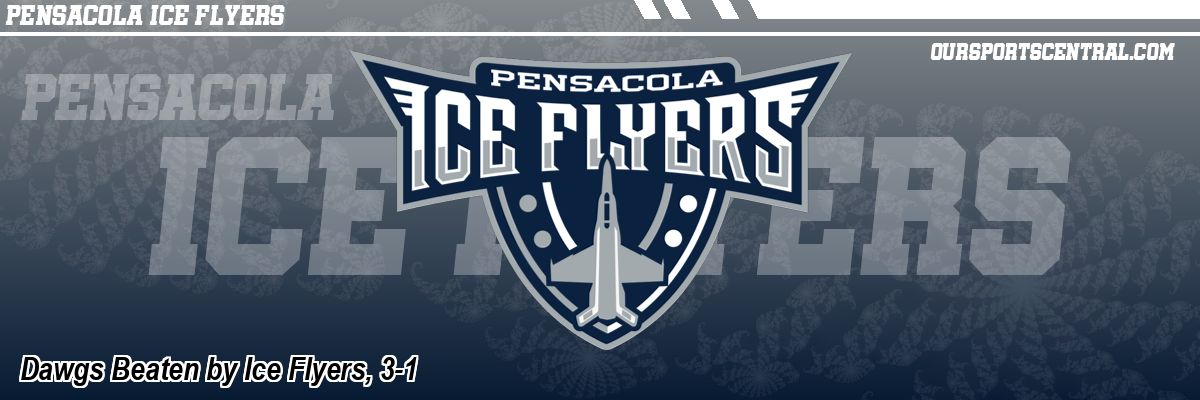 Dawgs Beaten by Ice Flyers, 3-1