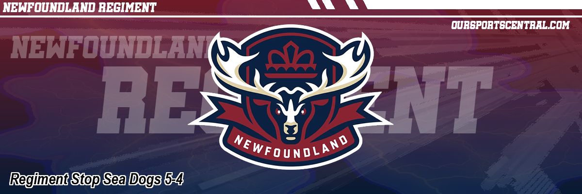 Regiment Stop Sea Dogs 5-4