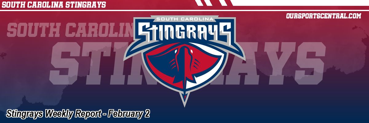Stingrays Weekly Report - February 2